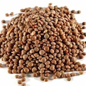 Lenteja Nacional x 1 Kg