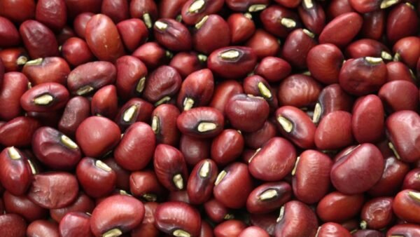 Poroto Aduki Premium x 5 Kg